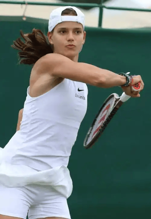 包含网球球员突破自我，表现堪称完美的词条