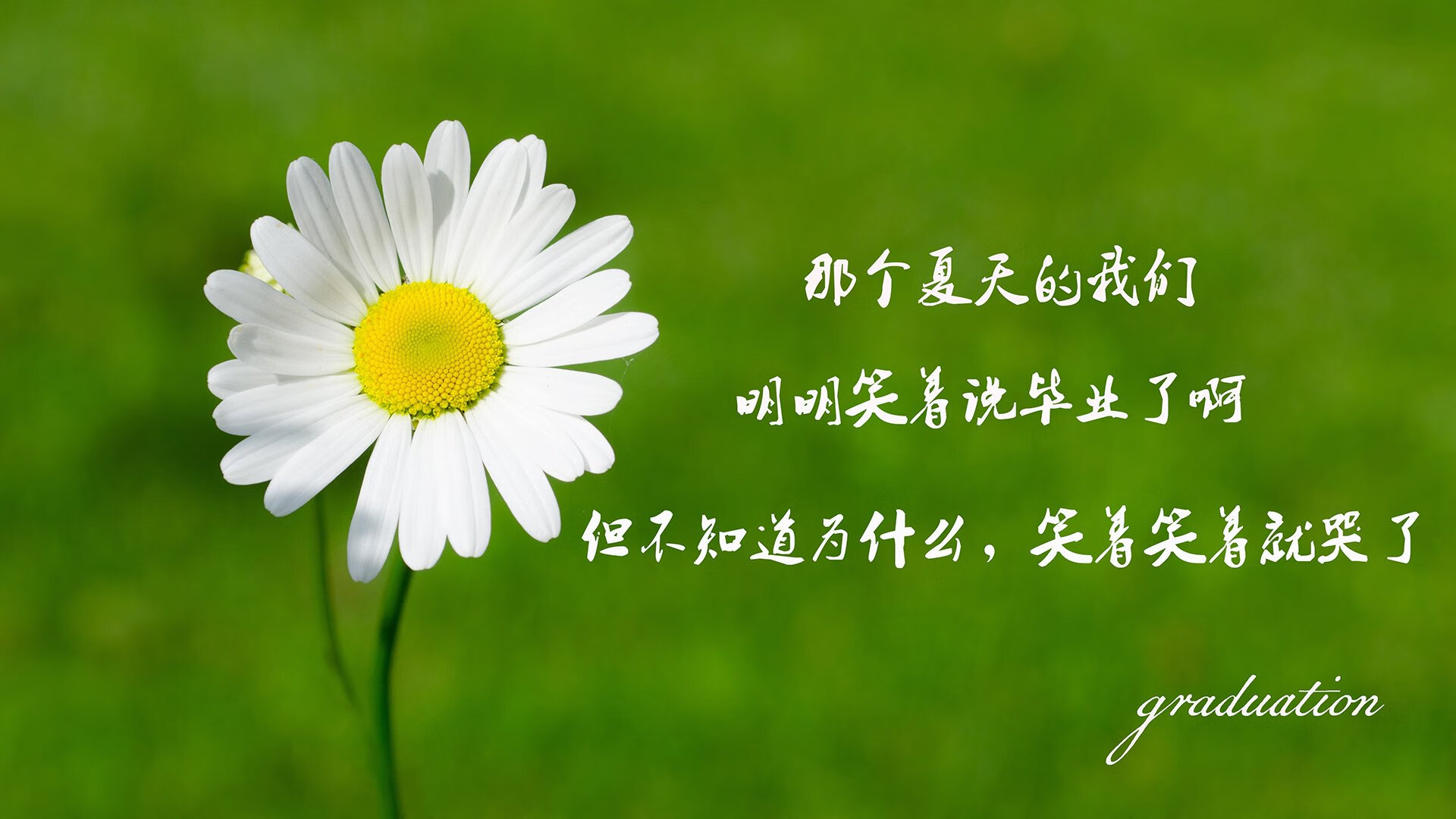 速度与对决，F1揭幕战与火箭打穿骑士的焦点之战