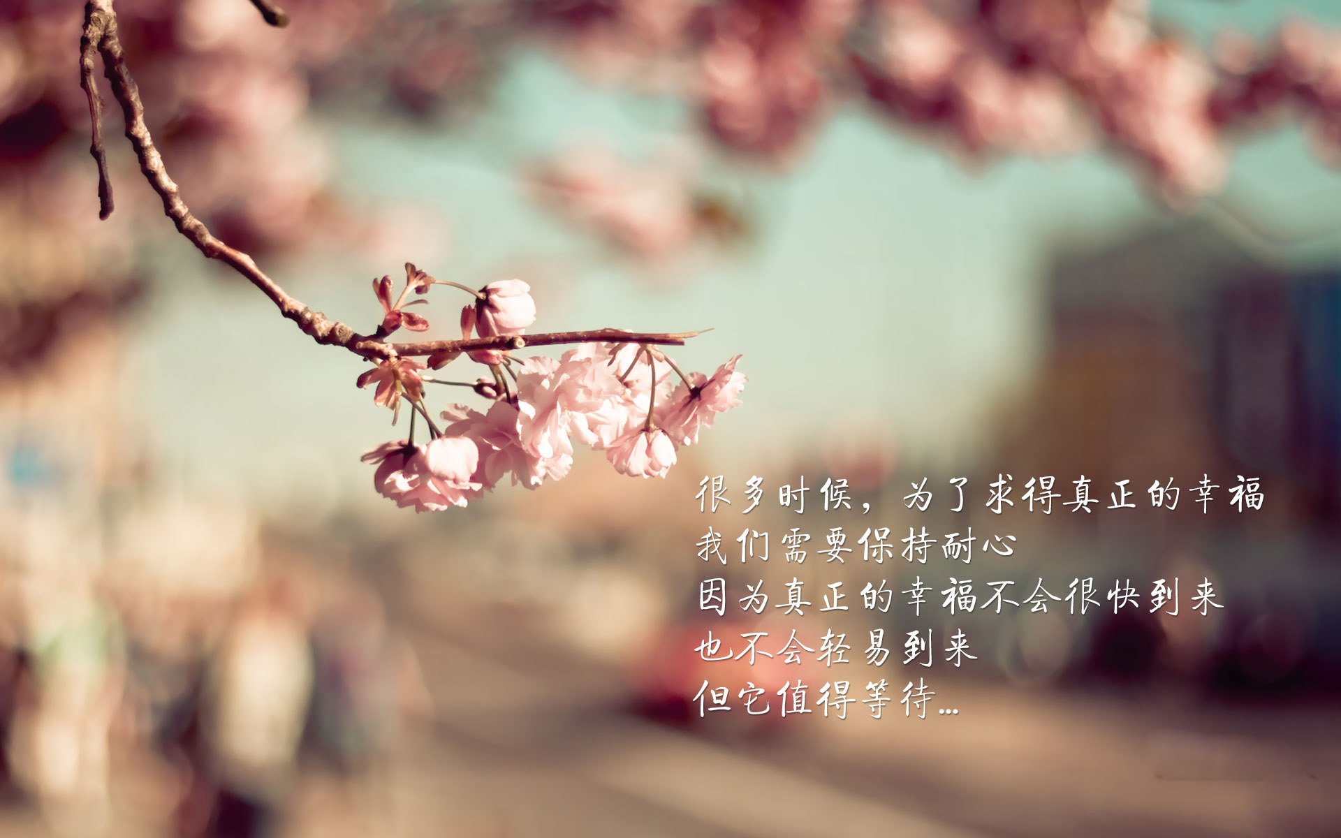 双线辉映,多特蒙德提前终结悬念,奥斯梅恩末节接管阿尔及利亚之战