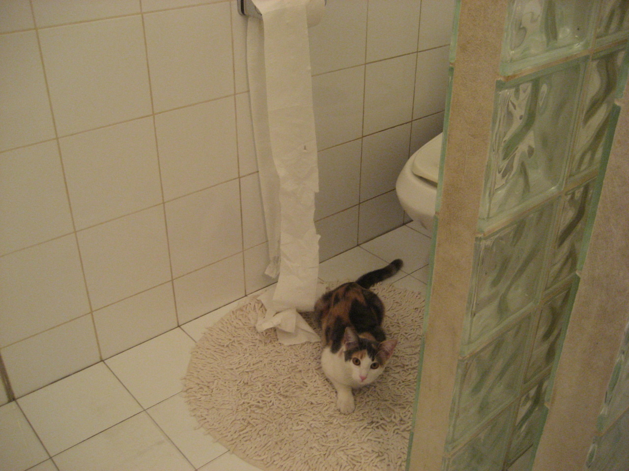 火雨降下时，当杜兰特的无解遇见浙江队的无隙