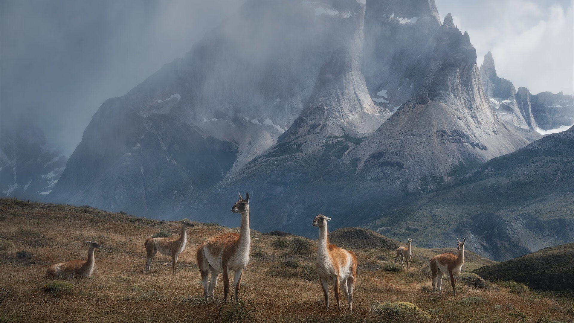 跨越太平洋的胜利，浙江队逆转快船，霍勒迪关键三分背后的大历史与小人物