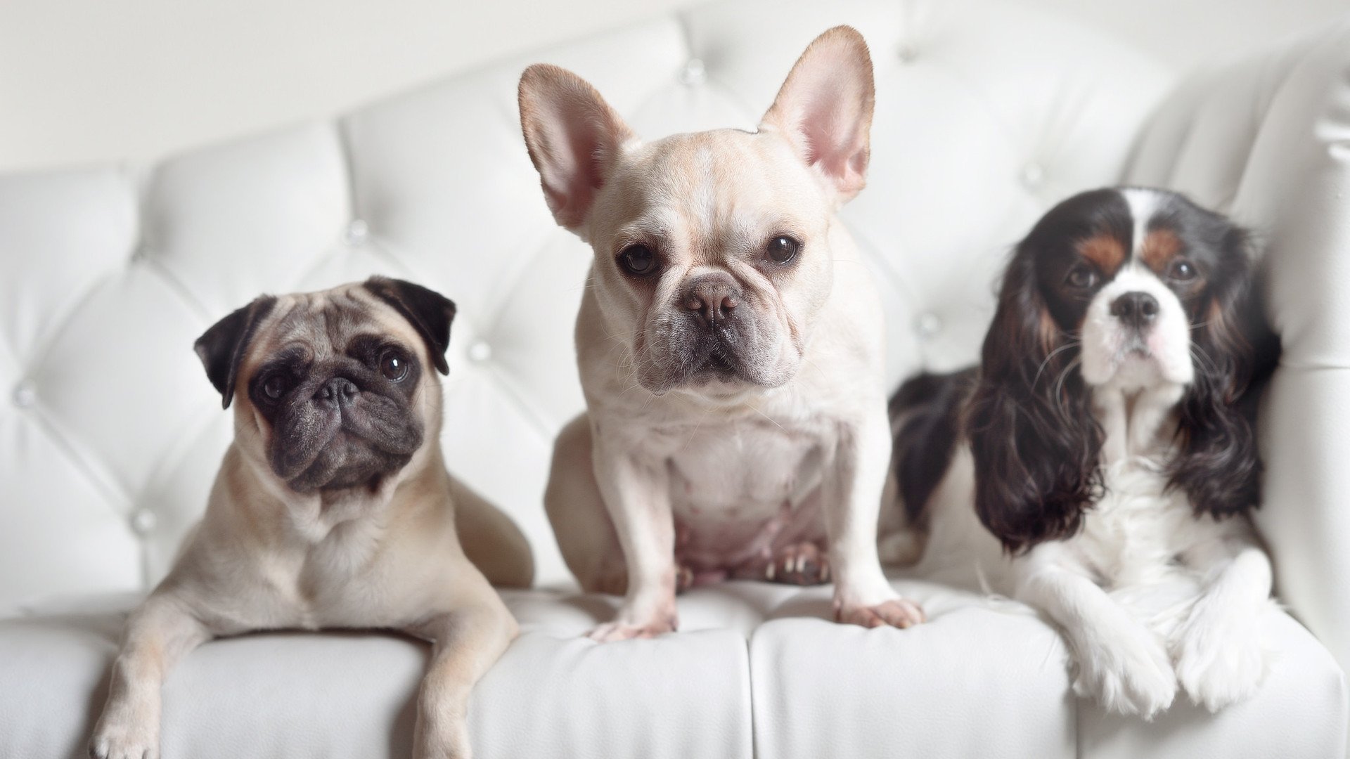 努涅斯之夜，那个被低估的神，在终场哨响前睁开双眼