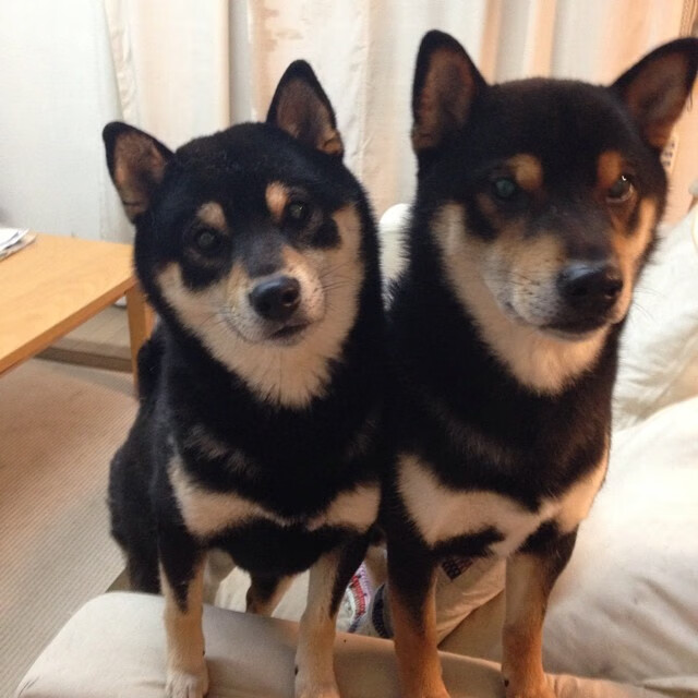 跨越领域的压制艺术，从NBA季后赛到皇马足球的胜利哲学