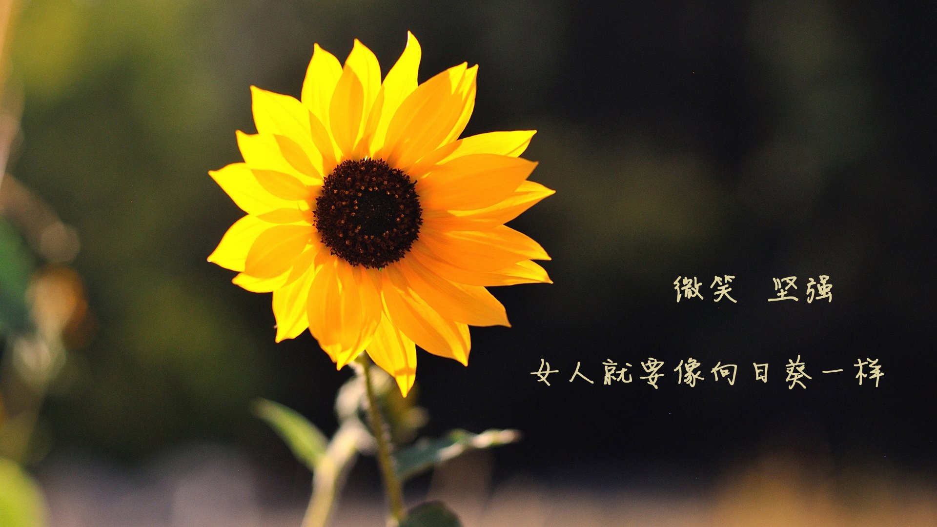 非洲雄鹰的审判日，当蓝武士化身死神，尼日利亚的压哨绝杀如何改写H组天机
