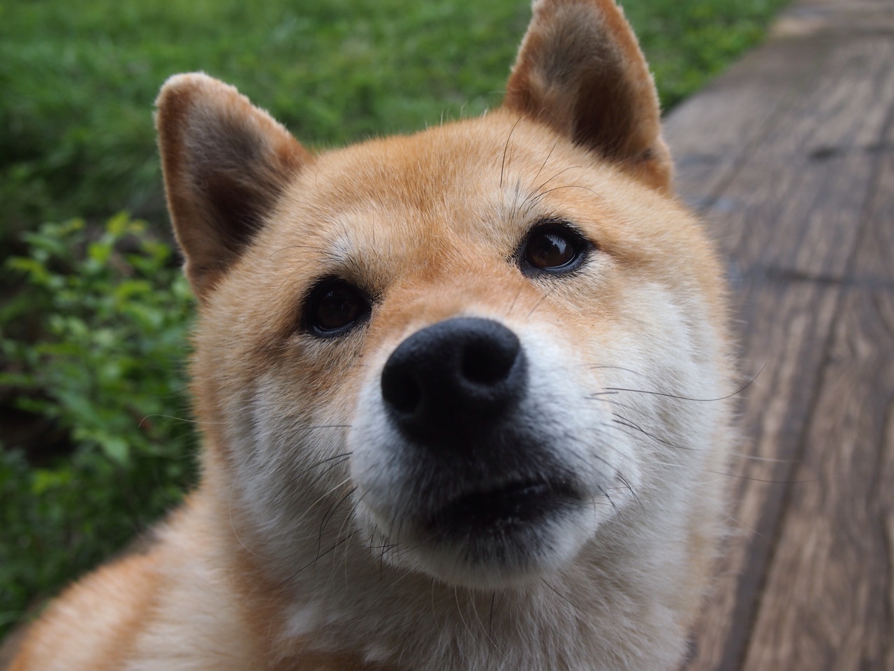 永夜中的唯一灯塔,托纳利与那场颠覆足球秩序的决赛